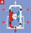 �T�F��Ӹ�Ĥ��